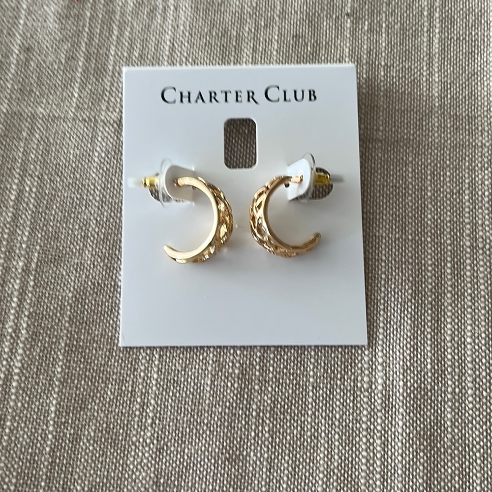 Hoop earrings - Picture 1 of 3